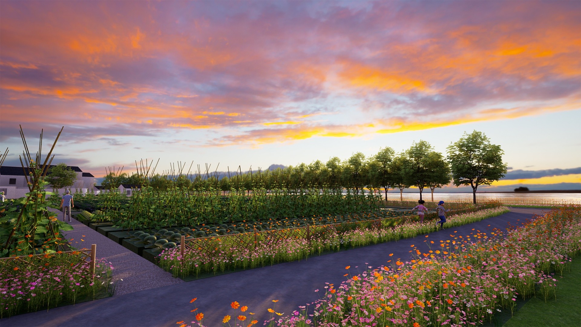 吳江美麗鄉(xiāng)村改造