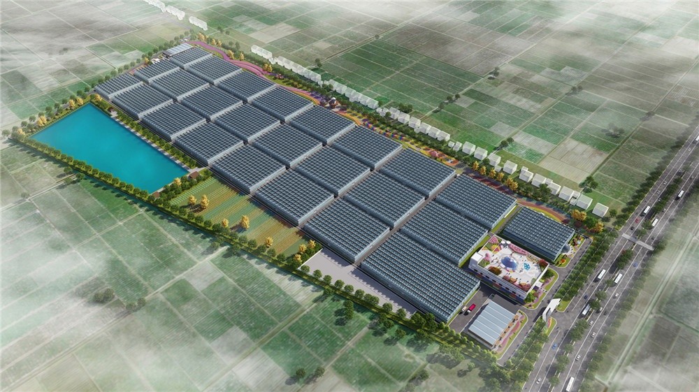 上海松江薔卉花卉生產(chǎn)基地規(guī)劃設(shè)計