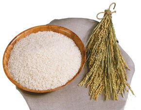 广东省农科院大米 优质 丝苗米 有机方法种植 易消化过 东北大米 煮粥煮饭都适合10kg 袋
