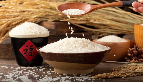 新大米和陈大米的区别 新米与陈米的不同