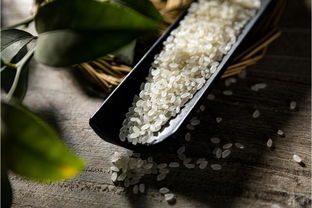 东北大米 黑龙江珍珠米5斤装 长乐珍珠粳米香米美食2.5kg 装