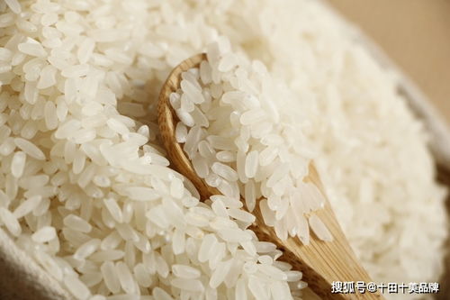 普通大米的营养成分